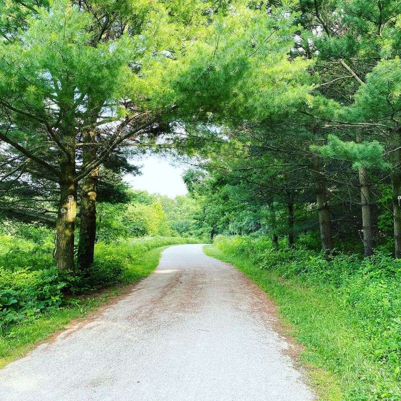 Hiking Trails That Are Friendlier Than You Might Think Hiking Trails That Are Friendlier Than You Might Think