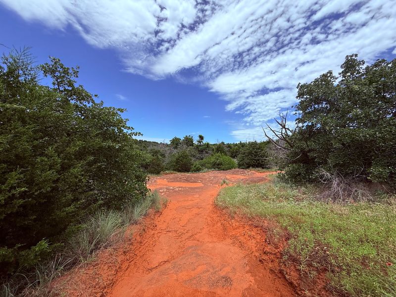 Hiking Trails That Range from Casual Strolls to Rewarding Climbs Hiking Trails That Range from Casual Strolls to Rewarding Climbs