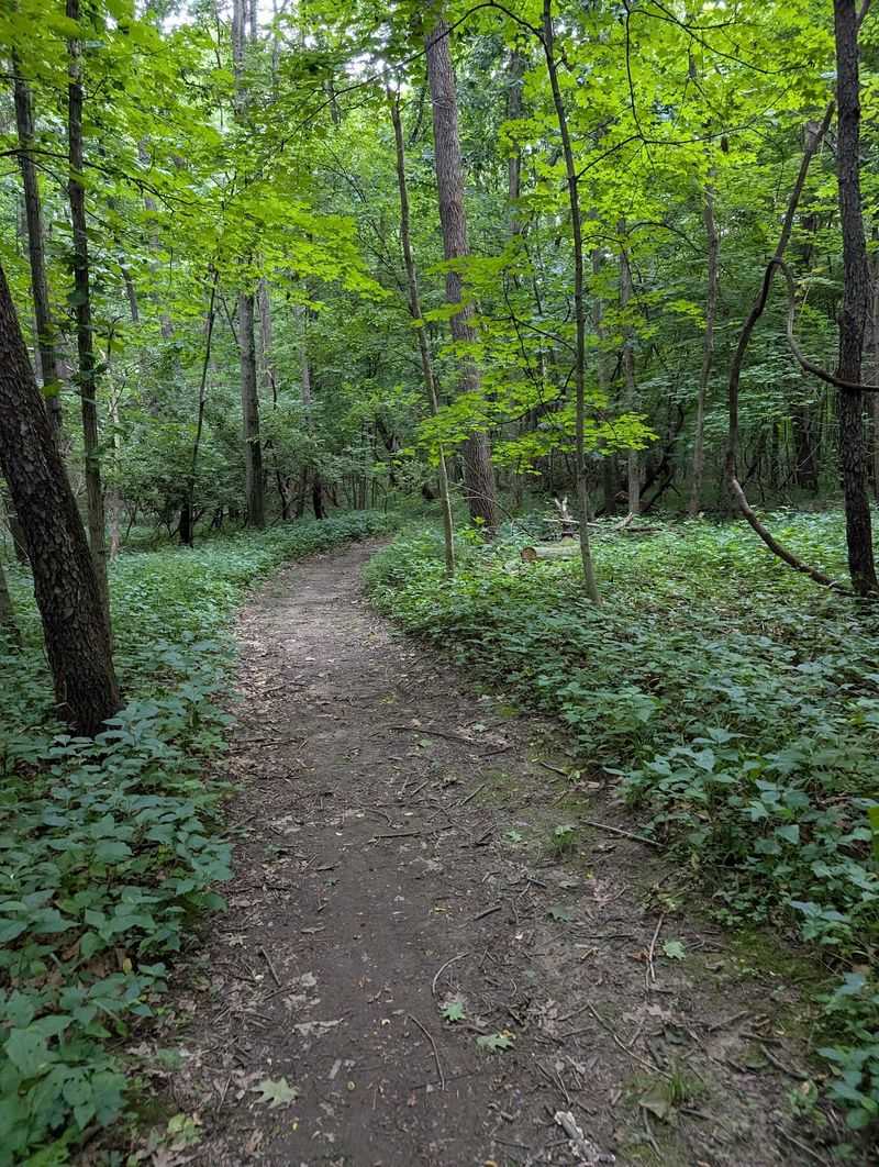 Hiking Trails That Reward the Effort Hiking Trails That Reward the Effort