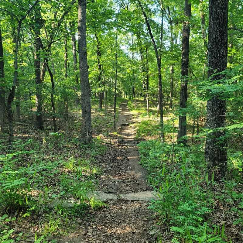Hiking Trails Through the Cookson Hills Hiking Trails Through the Cookson Hills