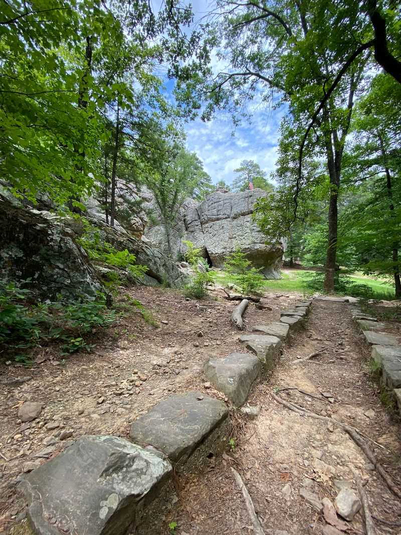 Hiking Trails Through the Forest Hiking Trails Through the Forest