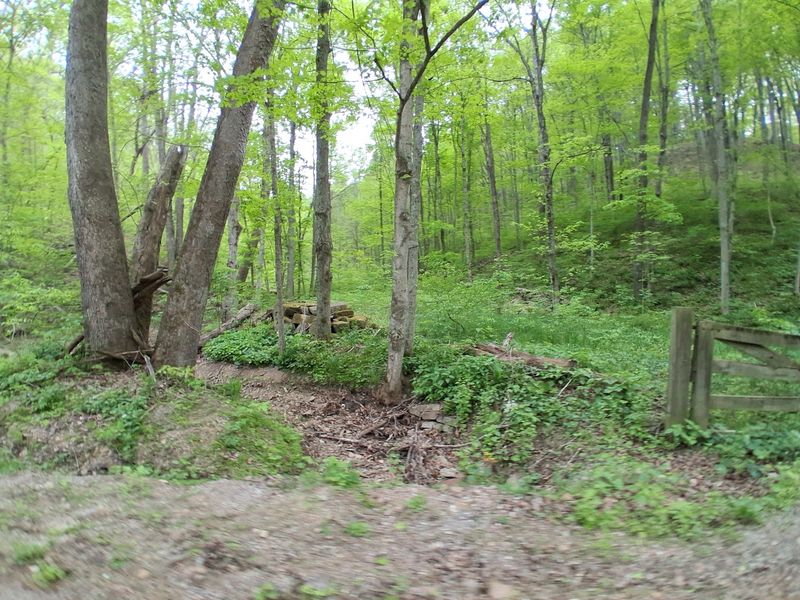 Hiking Trails Through the Heart of the Park