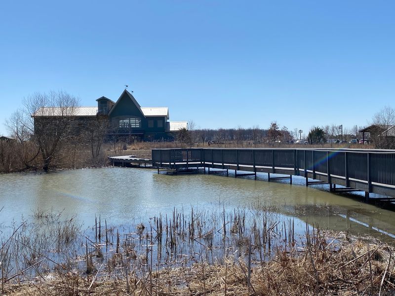 Hiking Trails and the Boardwalk Behind the Visitor Center