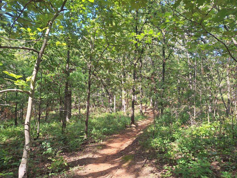 Hiking Trails and the Hog Trail Experience Hiking Trails and the Hog Trail Experience