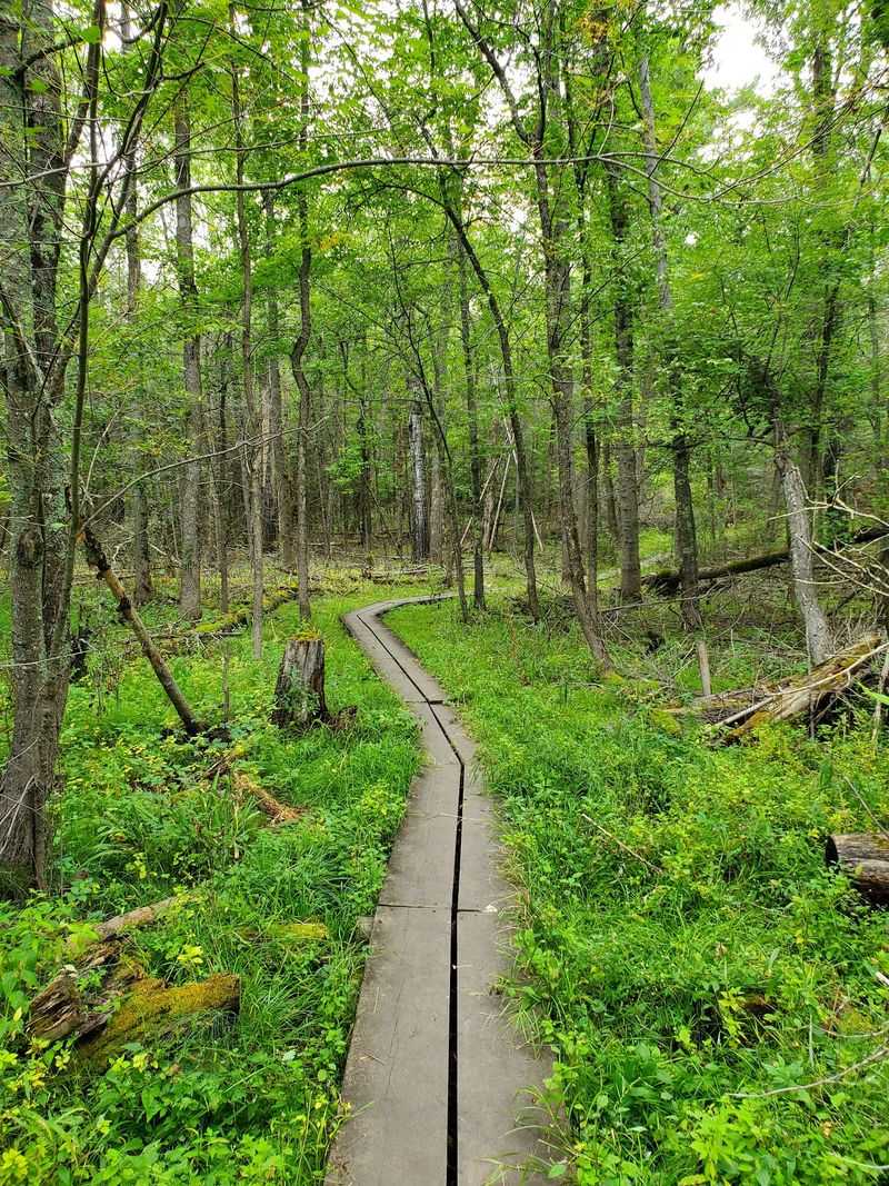 Hiking Trails for Those Who Also Want Dry Land