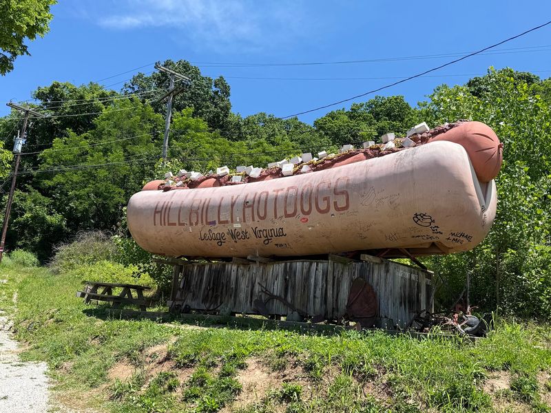 Hillbilly Hot Dogs, Lesage, West Virginia Hillbilly Hot Dogs, Lesage, West Virginia
