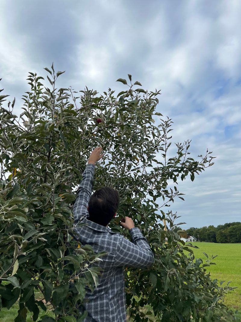 Hillcrest Orchard - Amherst