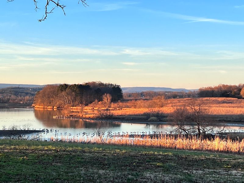 Hiwassee Wildlife Refuge, Birchwood, Tennessee Hiwassee Wildlife Refuge, Birchwood, Tennessee