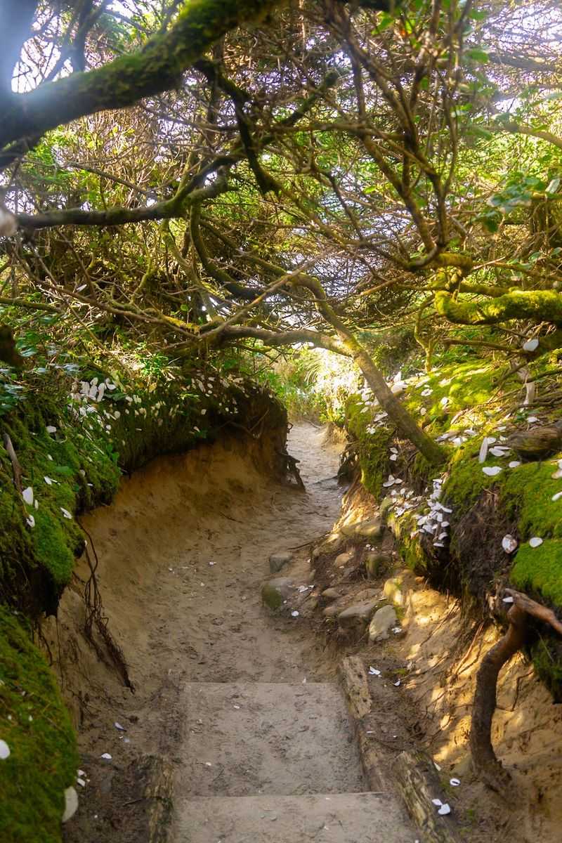Hobbit Beach Hobbit Beach