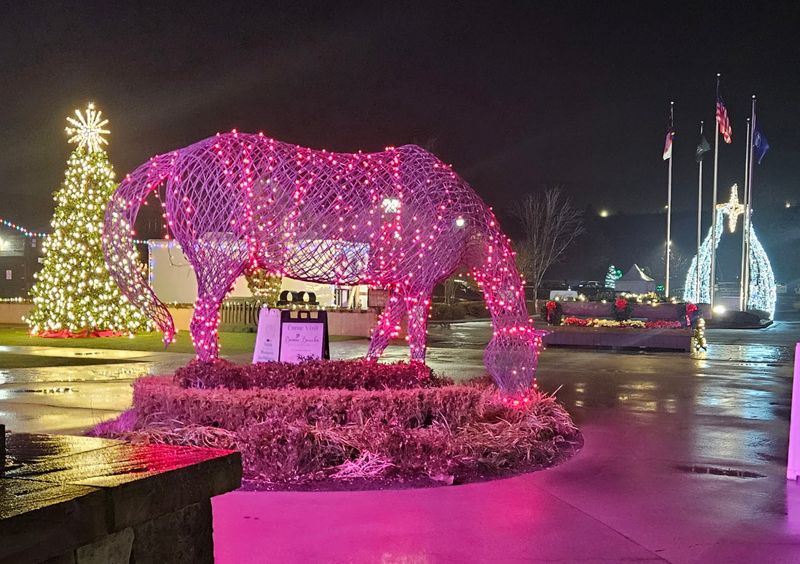 Holiday Lights, Santa, and a Drive-Through Winter Show