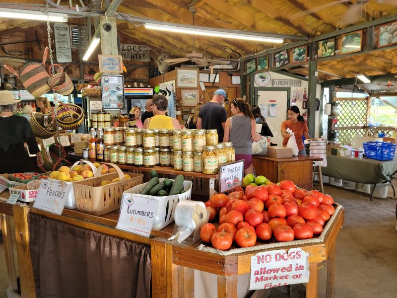 Homegrown Roots and a Family Feel Homegrown Roots and a Family Feel