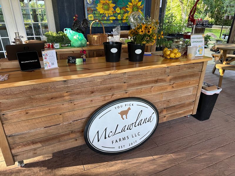 Homemade Lemonade and On-Site Vendors Homemade Lemonade and On-Site Vendors