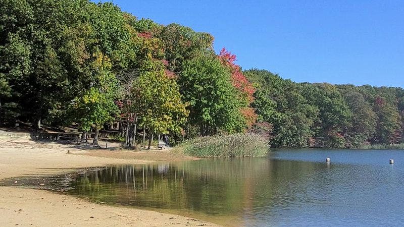 Hooks Creek Lake at Cheesequake State Park, Matawan, New Jersey