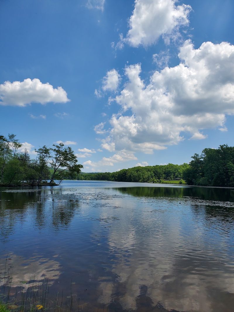 Hopewell Lake: The Park's Warm-Water Centerpiece Hopewell Lake: The Park's Warm-Water Centerpiece