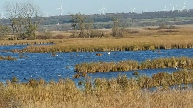 Horicon National Wildlife Refuge, Mayville, Wisconsin