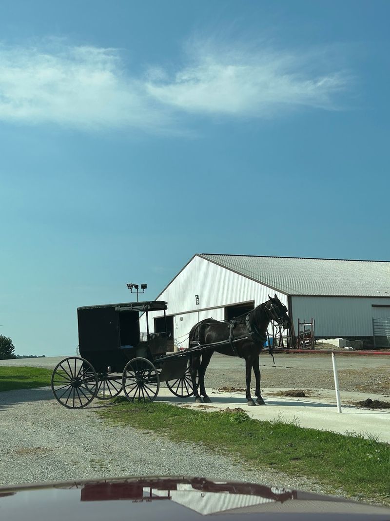 Horse Buggies and the Rhythm of the Road