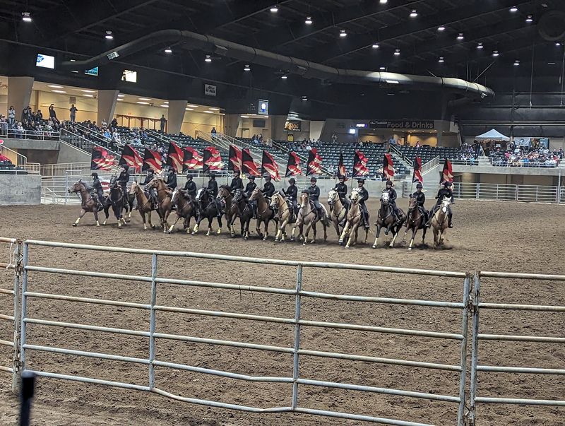 Horse Shows and Agricultural Exhibits