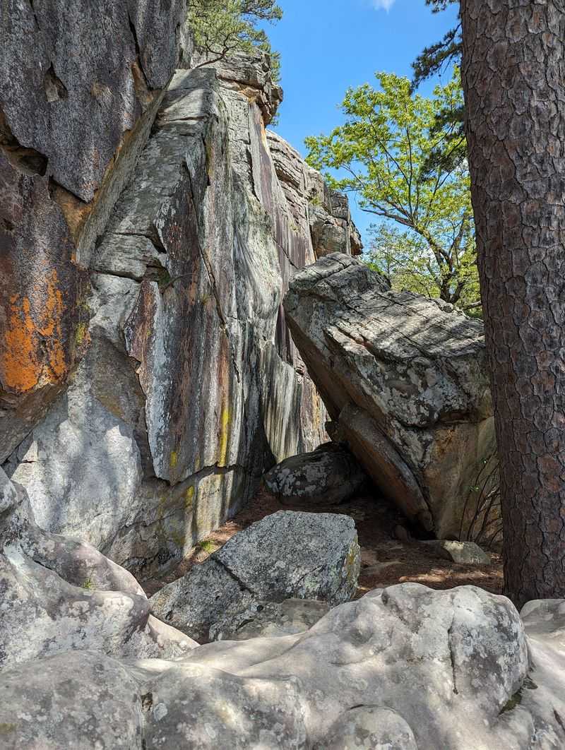 Horseback Riding and Rock Climbing Horseback Riding and Rock Climbing