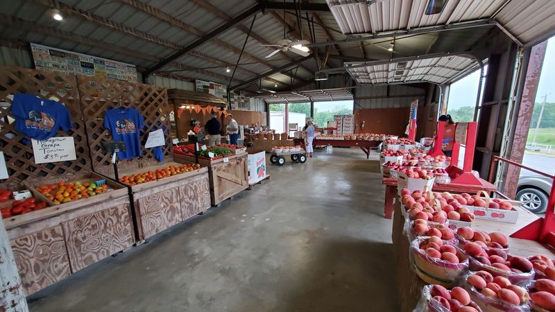 Hours, Prices, and Planning Your Visit