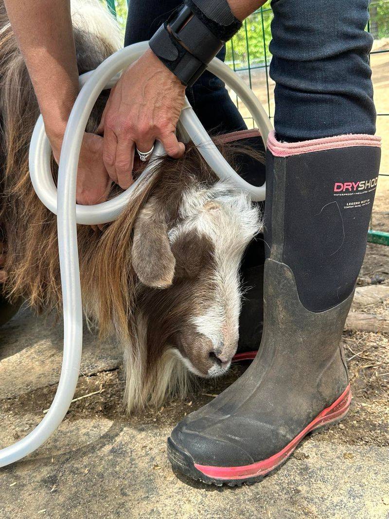 How Kathy and John Turned Compassion Into a Forever Home How Kathy and John Turned Compassion Into a Forever Home