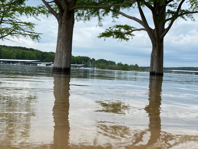 How Lake Levels Shape the Beach Experience How Lake Levels Shape the Beach Experience