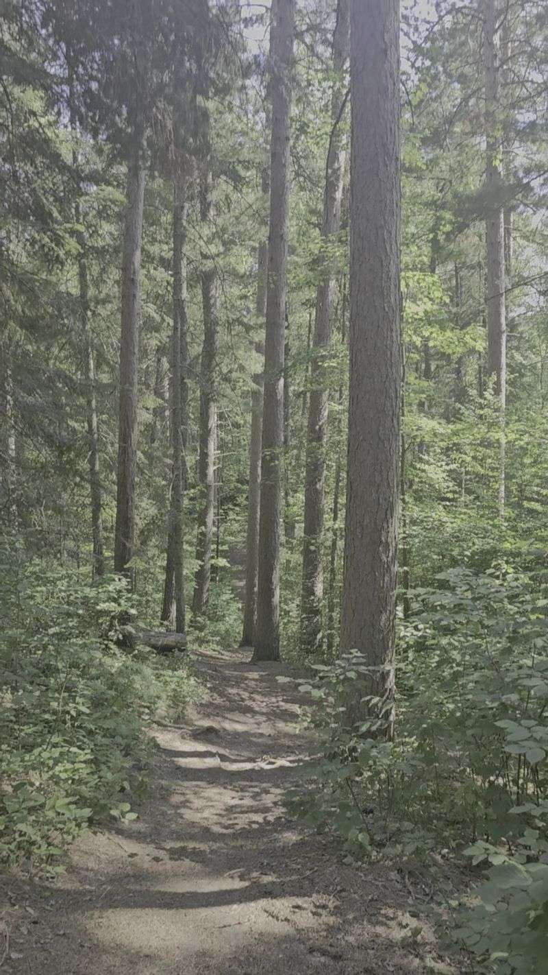 How This Place Compares to Other Minnesota Forest Preserves How This Place Compares to Other Minnesota Forest Preserves