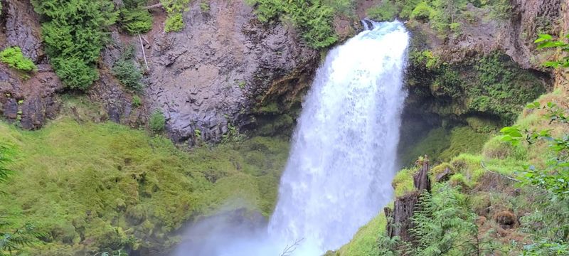 How This Trail Compares to Other Oregon Waterfall Hikes How This Trail Compares to Other Oregon Waterfall Hikes