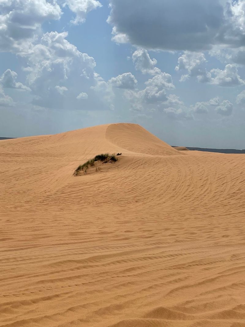 How the Dunes Got Here How the Dunes Got Here