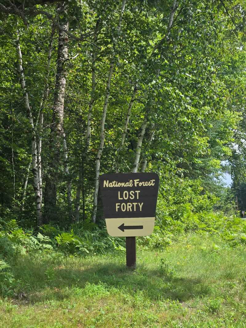 How the Lost 40 Fits Inside Chippewa National Forest How the Lost 40 Fits Inside Chippewa National Forest