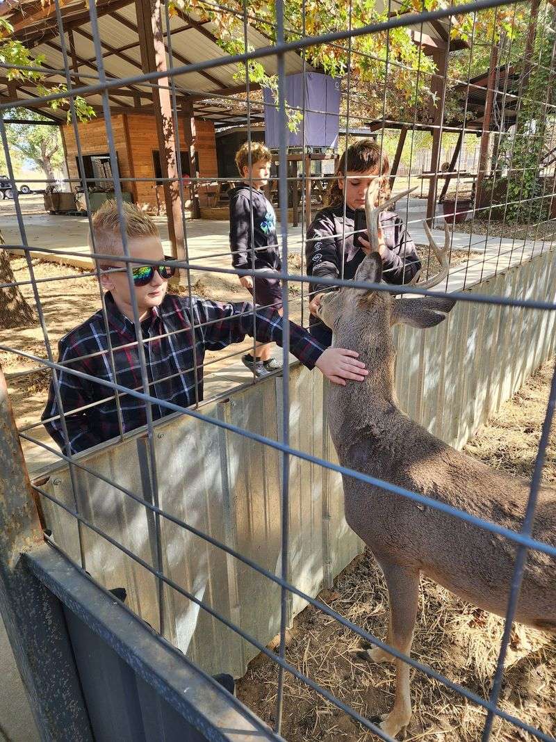 How the Park Keeps Animals Happy and Healthy How the Park Keeps Animals Happy and Healthy