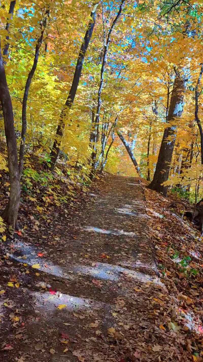 How the Trail Changes With Each Season How the Trail Changes With Each Season