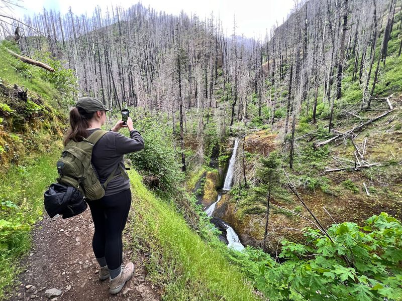 How the Trail Recovered After the 2017 Fire How the Trail Recovered After the 2017 Fire