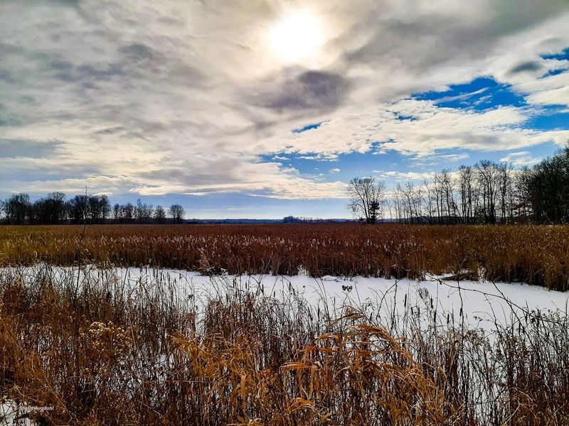 Hunting Across Thousands of Acres of Public Land Hunting Across Thousands of Acres of Public Land