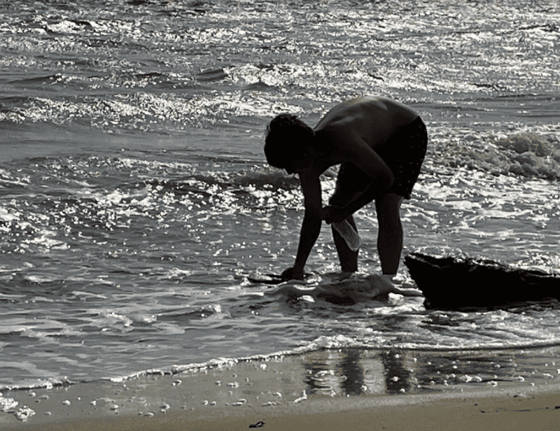 Hunting for Ancient Shark Teeth