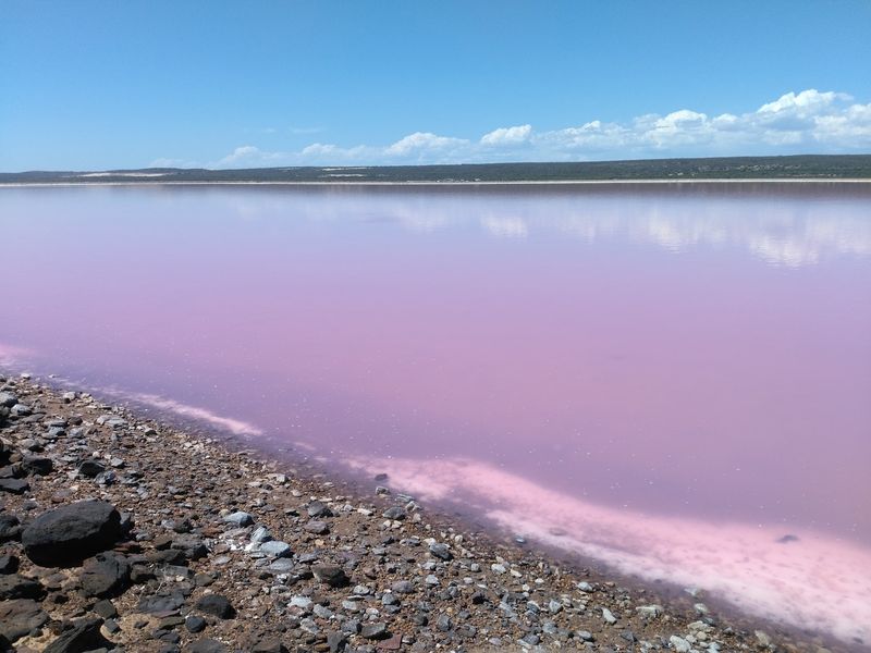 Hutt Lagoon, Port Gregory, Australia