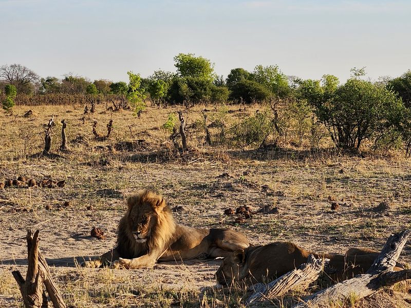Hwange National Park, Zimbabwe Hwange National Park, Zimbabwe