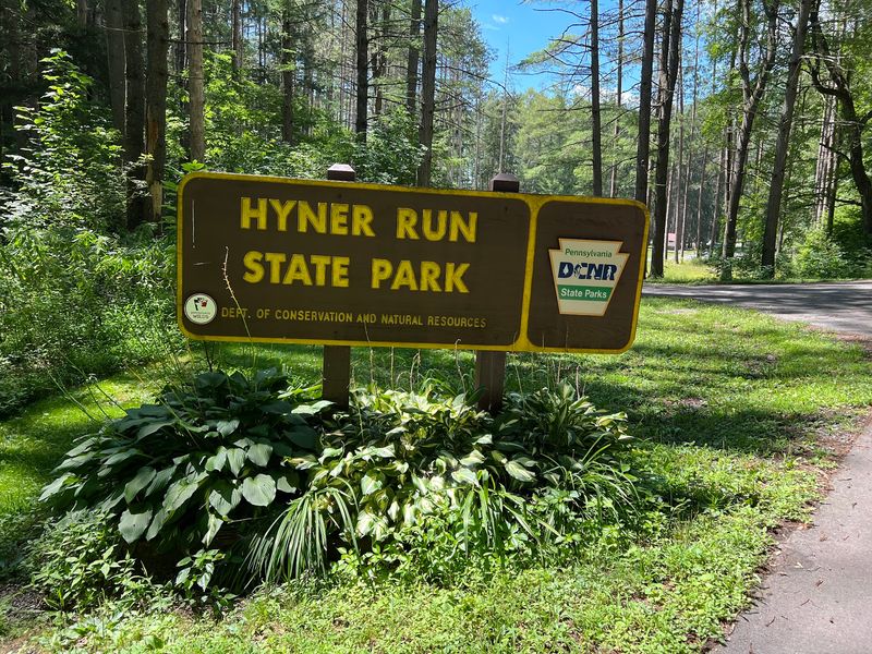 Hyner Run State Park: The Perfect Valley Companion