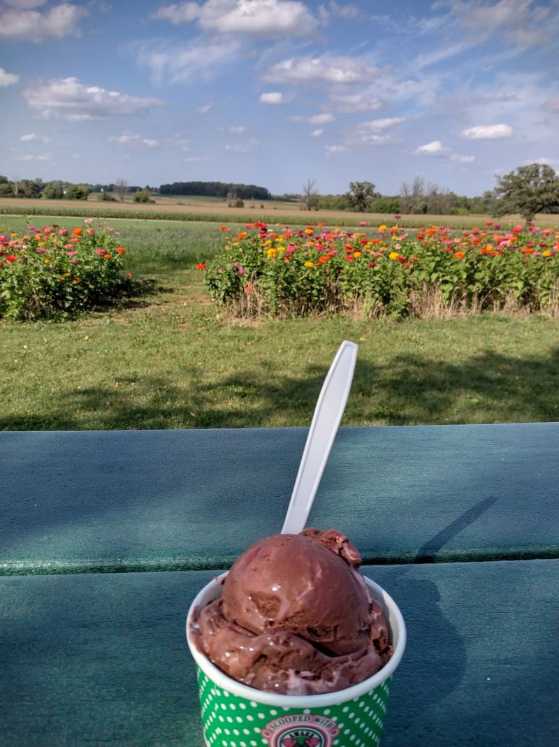 Ice Cream Straight From the Farm Ice Cream Straight From the Farm