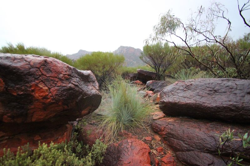 Ikara-Flinders Ranges National Park, South Australia