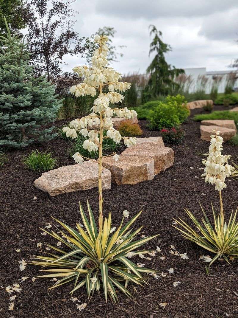 Immaculately Maintained Grounds Year-Round
