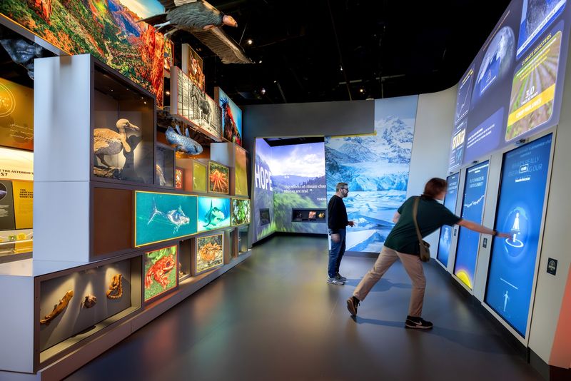 Interactive Galleries That Keep Hands Busy Interactive Galleries That Keep Hands Busy