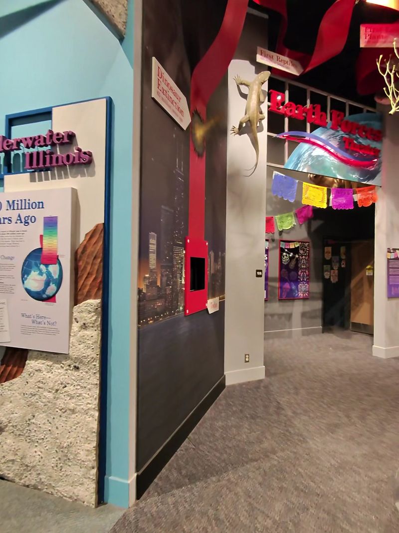 Interactive Kids Discovery Area Interactive Kids Discovery Area