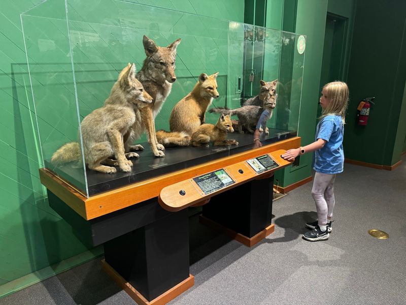 Interactive Spaces Keep Young Explorers Engaged