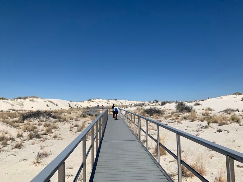 Interdune Boardwalk, White Sands National Park, New Mexico Interdune Boardwalk, White Sands National Park, New Mexico