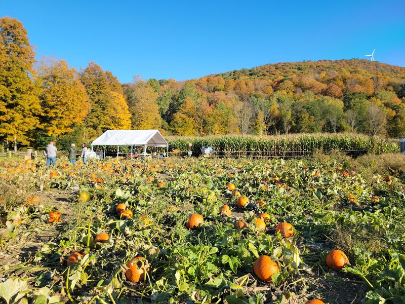 Ioka Valley Farm, Hancock Ioka Valley Farm, Hancock
