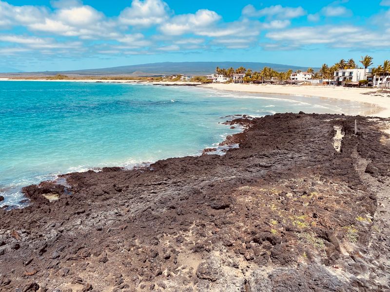 Isabela Island, Galápagos, Ecuador Isabela Island, Galápagos, Ecuador