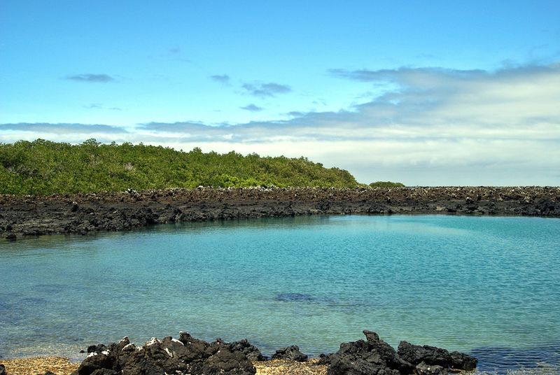 Isabela Island, Galápagos Islands, Ecuador Isabela Island, Galápagos Islands, Ecuador