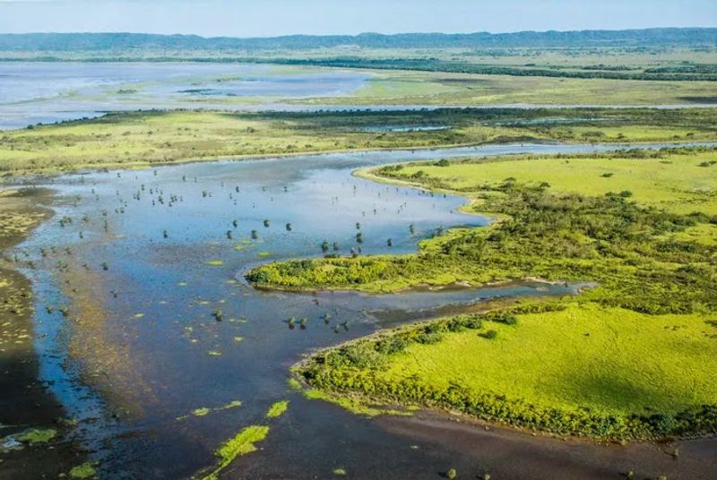 Isimangaliso Wetland Park, St. Lucia, KwaZulu-Natal, South Africa