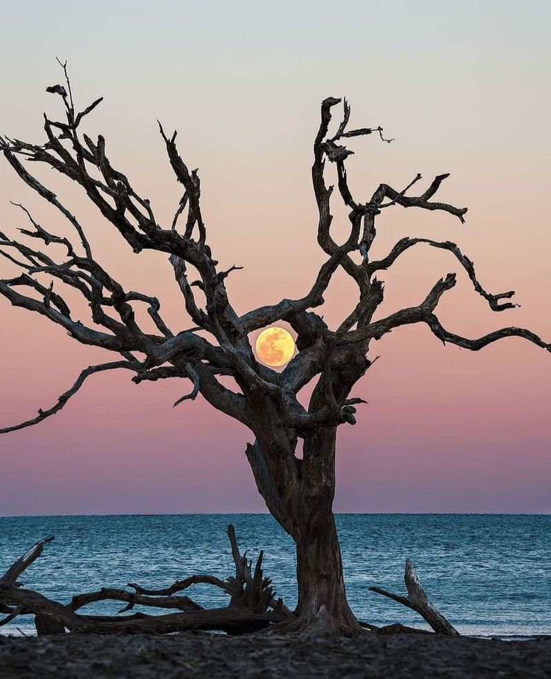 Jekyll Island, Georgia