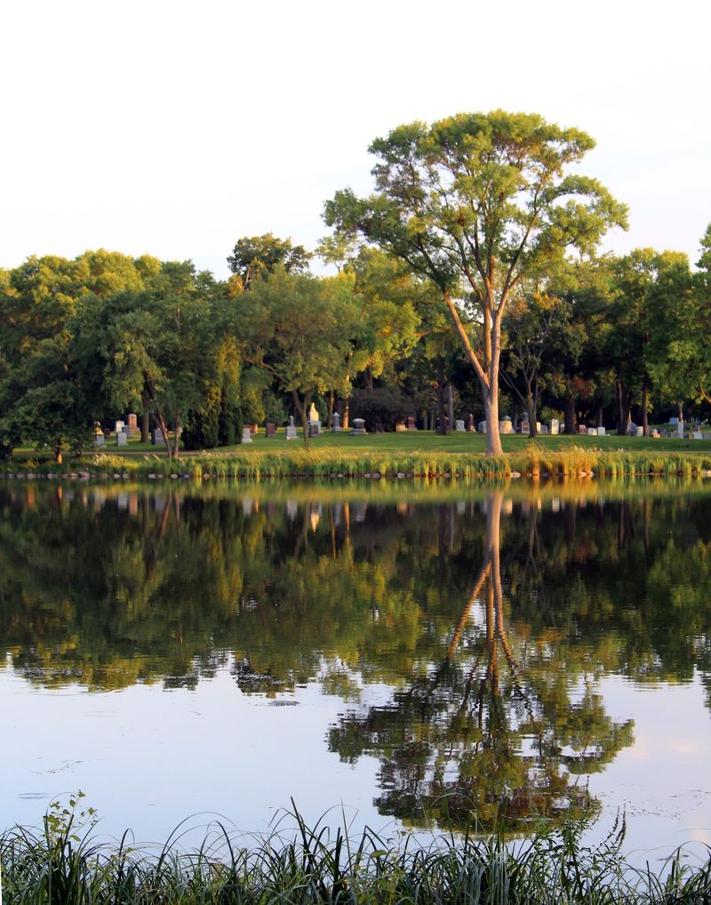 Jo Pond and the Natural Beauty of the Grounds Jo Pond and the Natural Beauty of the Grounds